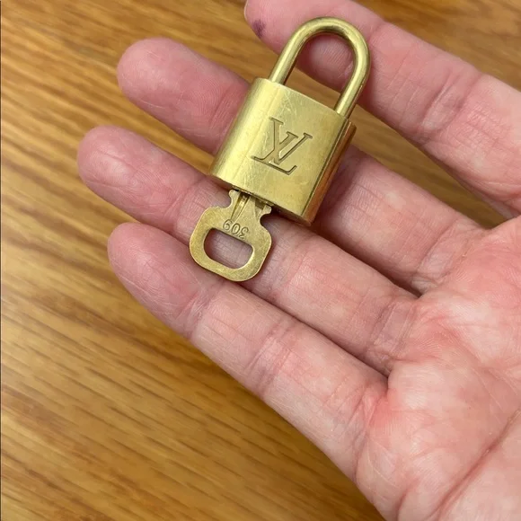 Louis Vuitton Luggage Tag & Key